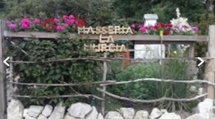 Wildcamp Resort Masseria La Murgia Unterkunft In Einem Wohnwagen Rimbach  Екстериор снимка